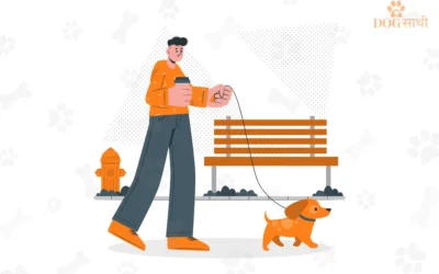 What Makes Our Dog Walking Service in Delhi Different from the Rest