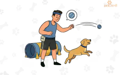 Why Dog Training at Home Feels Right for Your Furry Friend in Delhi