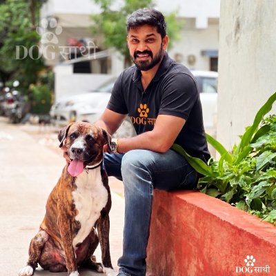 dog walker near me - Dog Sathi Dog Sathi providing trusted dog walker delhi services for active and happy pets