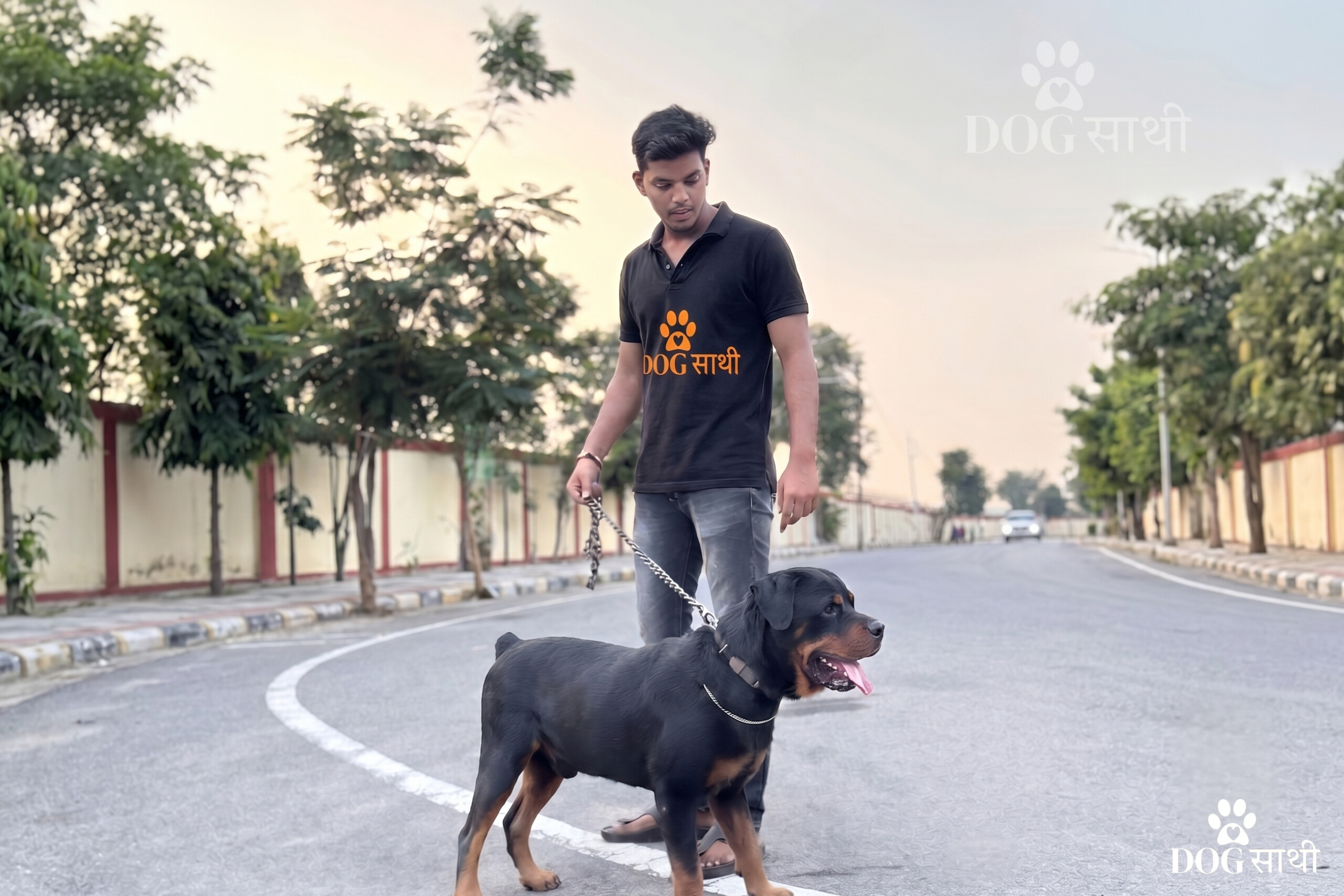 Dog Sathi dog walker giving personalized attention and care during a dog walk